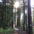 Sheltowee Trace, Red River Gorge